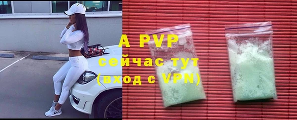 spice Бородино
