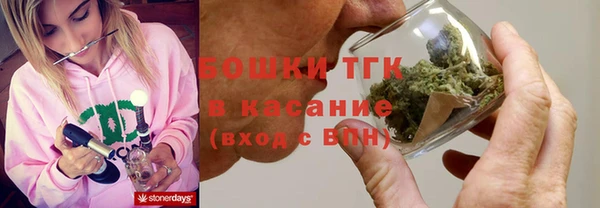 spice Бородино