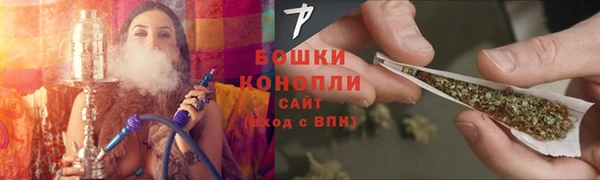 spice Бородино