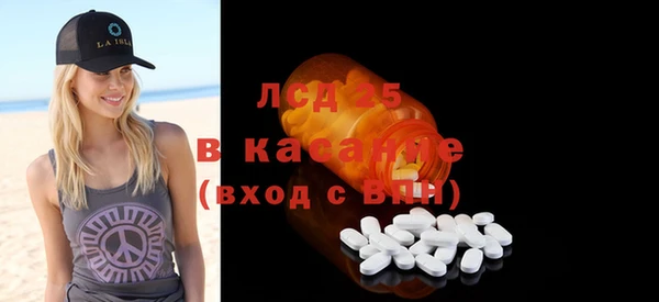spice Бородино