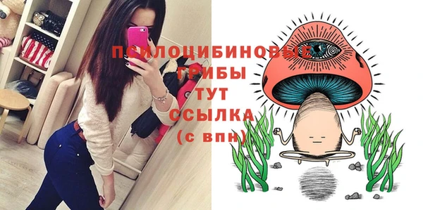 spice Бородино