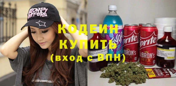 spice Бородино