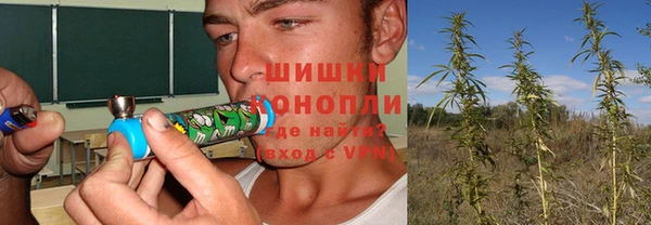 бошки Бронницы