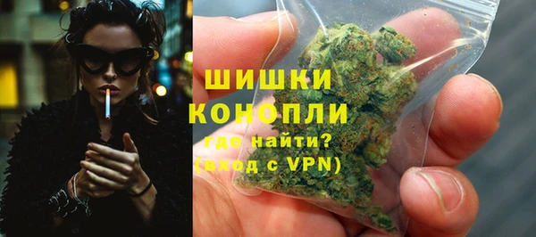 spice Бородино